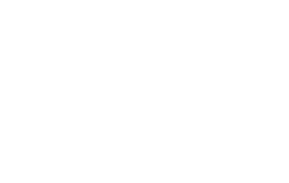 VfB Stuttgart: Offizieller Business-Partner